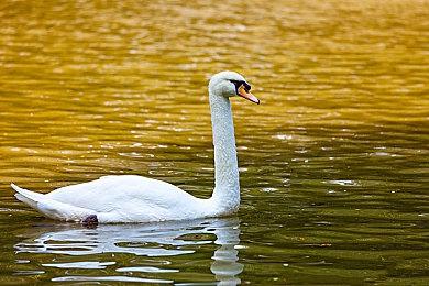 哪一代《战地》最好？《战地2042》投票率只有7%