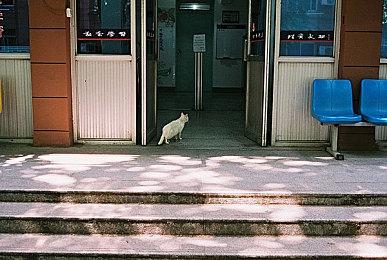 《龙腾世纪：影障守护者》被媒体称作年度游戏争夺者